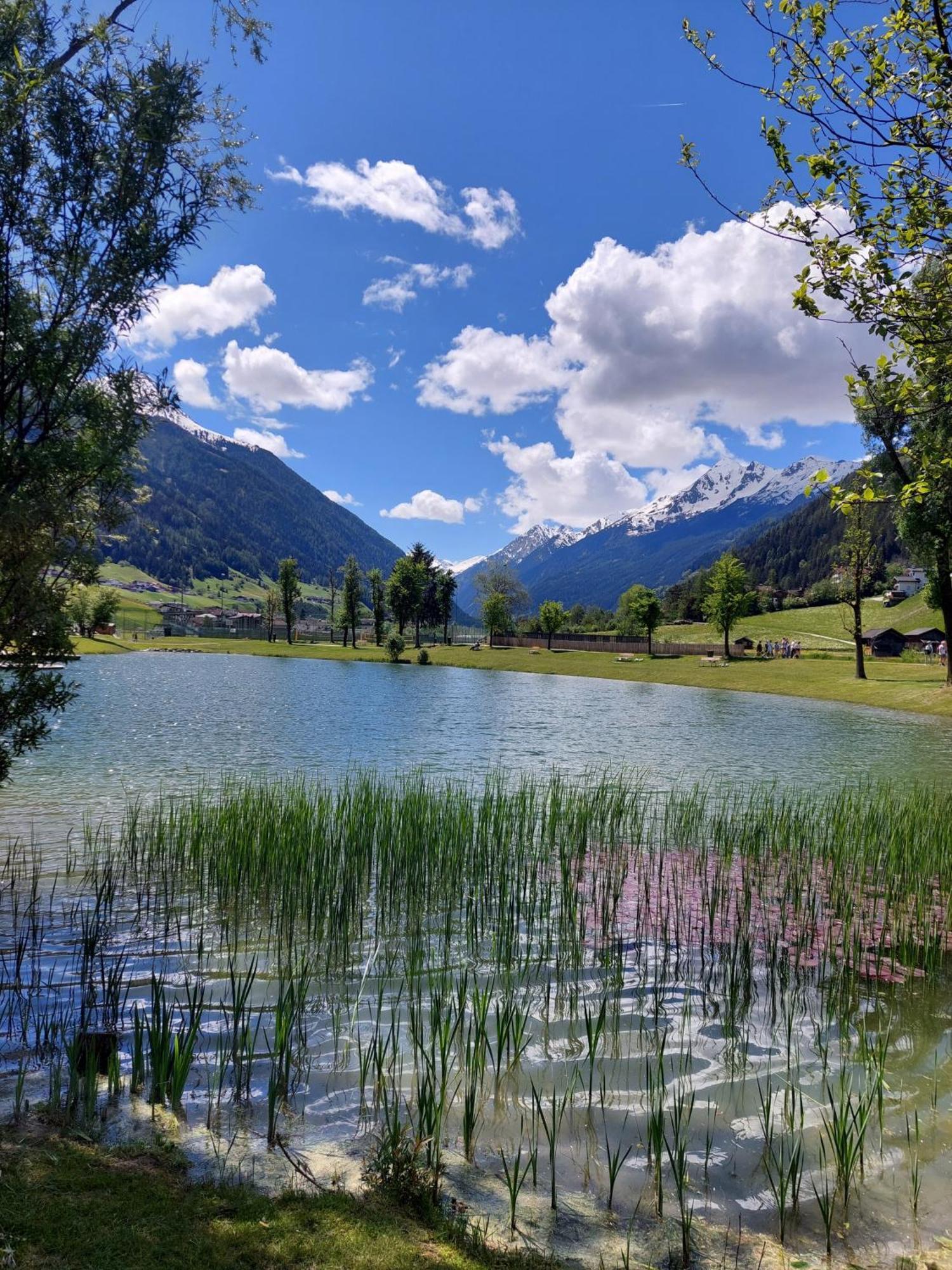 Pension Riese Neustift im Stubaital Bagian luar foto