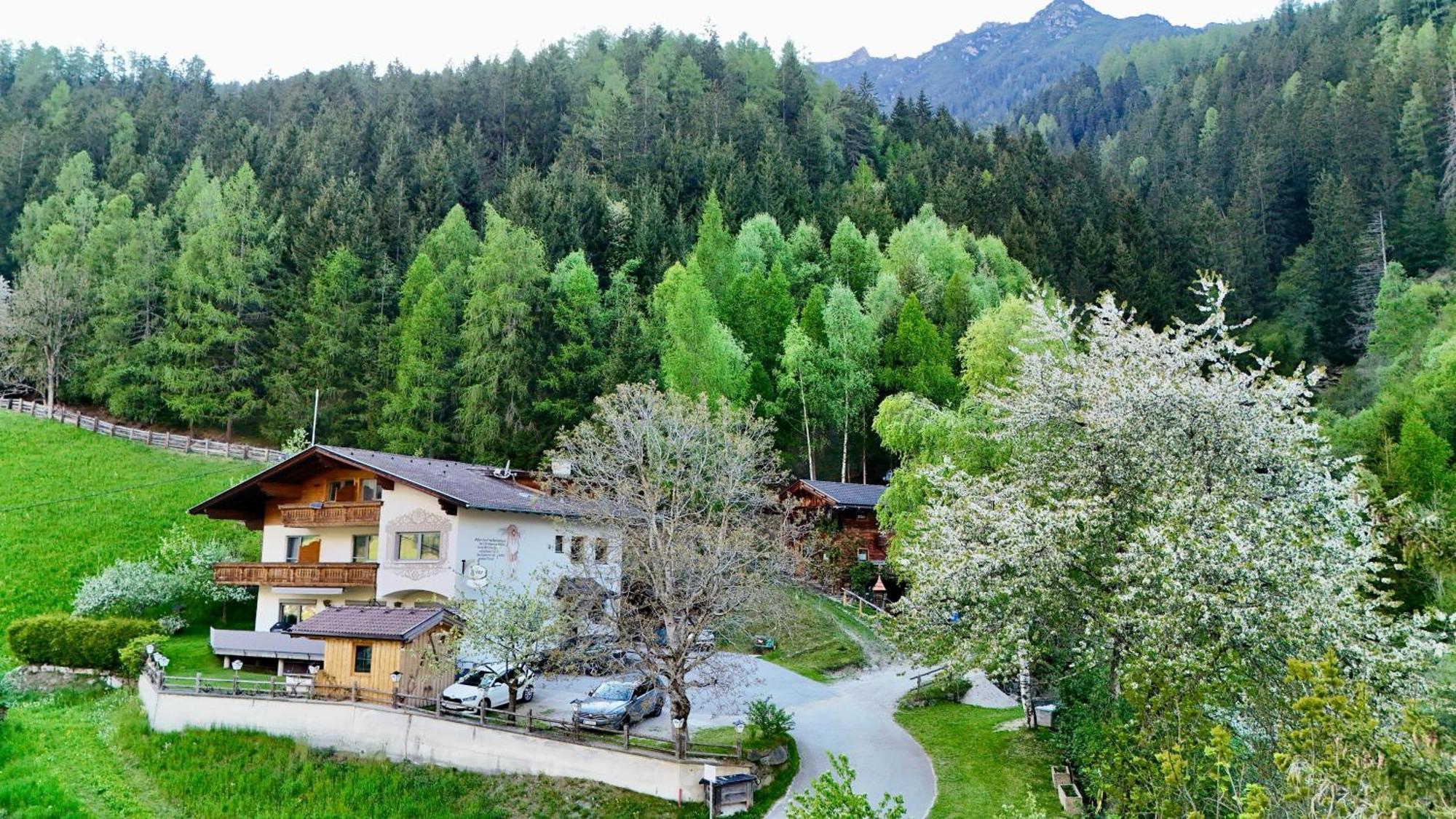 Pension Riese Neustift im Stubaital Bagian luar foto
